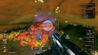 mushroom