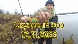 Окуневый жор 12.11.2022 г на ультралайт. Закрытие сезона.