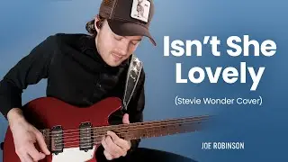 Isn't She Lovely • Joe Robinson • Stevie Wonder Guitar Cover