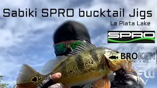 Pesca con Sabiki,  Sacándolos de 2 en 2, Lago La Plata. Puerto Rico. Junto a Fishing Warior PR.