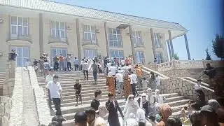 Бачахои Заргар нархи пикек арзон шид