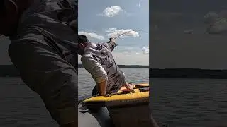 ЧУТЬ НЕ ВЫБРОСИЛ МЕНЯ ИЗ ЛОДКИ!!! ОГРОМНЫЙ СОМ НА СПИННИНГ!!! #рыбалка #fishing #рыбалкасподвохом