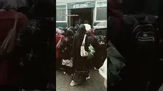 Buss mein Jga! IIUI female buses