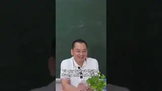 Hiểu về quy luật vô thường | Ngô Minh Tuấn | Học Viện CEO Hà Nội