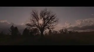 Sunset Field