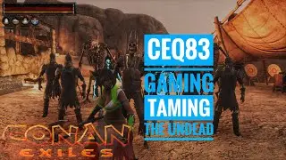 Taming the Undead pets and checking their stats