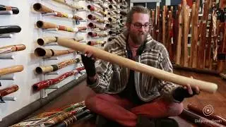 Didgeridoo Buyers Guide - Price - 7 of 10