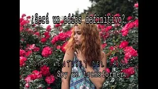 Adios Kentushy, hola srta transformer