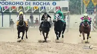 Clip Hipodromo de Rocha - mayo 2025