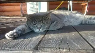 Вечерний Эфир
