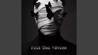 Feel the Vibess