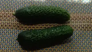 MANY CUCUMBER MASKS. Hurray for CUCUMBER season!