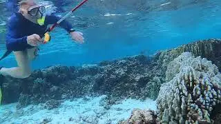 381 Дигура  Подводная рыбалка