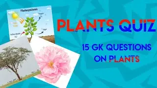 Plants Quiz | 15 General Knowledge Questions About Plants