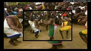 Wi Sani - Palm Bata