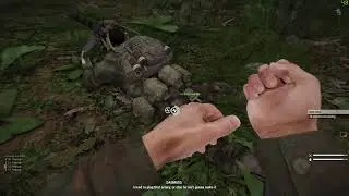Life and Death in Vietnam