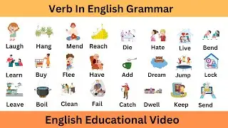 Verbs – English Grammar | Verb in English Grammar | English Educational Video