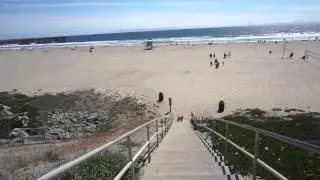 Coney Dog at Pismo Beach