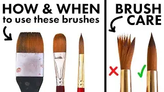 The Beginner's Guide to Watercolor Brushes