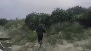 Oh baby a triple [GTA V]