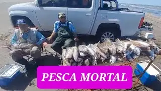 MIRA CON LA PESCA QUE SE ENCONTRARON MIS AMIGOS DE BAHIA BLANCA