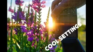 4 Sony Menu settings that you should know