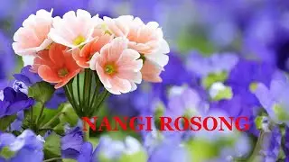 Nangi Rosong ( Jarnel Mejembrai) Kocha Rabha Song
