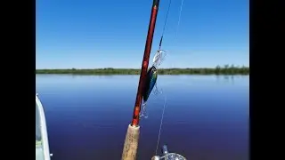 Рыбалка на реке Тавда в мае 2022 г