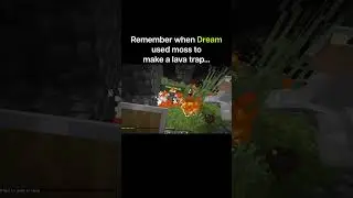 Dream Uses Moss Lava Trap