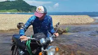на альфе по лесу