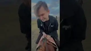 Лошадки!
