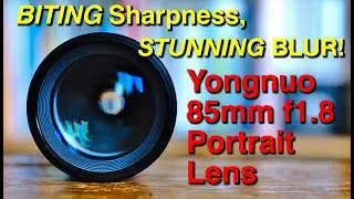 Yongnuo 85mm f1.8 - Can You Afford To Miss It?