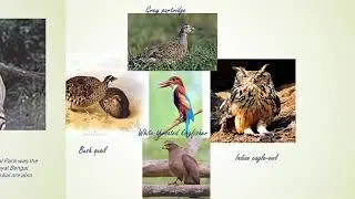 Wildlife sanctuaries in India