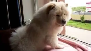 Ох, уж эти детки..