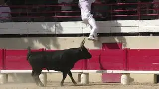 LANSARGUES (26/05/2024) - Le résumé de la course