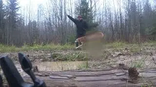 С РУССКОЙ ГОНЧЕЙ в лес.2.11.23.
