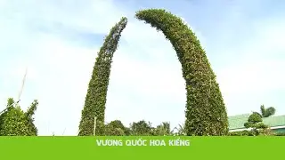 VƯƠNG QUỐC HOA KIỂNG | Nhà Hai Lúa