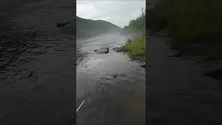 А с тобой ТАКОЕ было?! 😁 (до конца) #рыбалка #фейлы #прикол