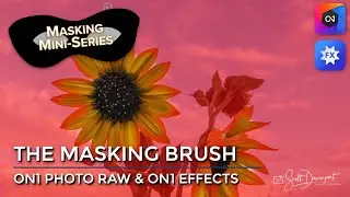 The Masking Brush In ON1 Photo RAW And ON1 Effects
