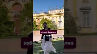 🚫 Что делать, если вашу шенгенскую визу отклонили