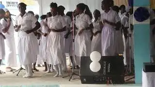 Animation Ecodi Yolodani Barrage