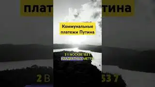 Выясняем сколько Путин платит за коммуналку. #жкх #факты #недвижимость #россия #юрист