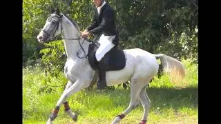 1,Földing Péter.wmv