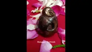 KOL BUNTET PENARIK CINTA DAN REJEKI