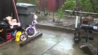 Northern California Rain