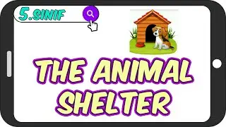 Animal Shelter / Akıcı Anlatım 🐓 5.Sınıf İngilizce 