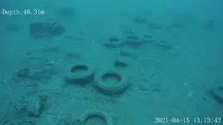 Garbage underwater - zero wildlife