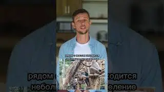 Бамбуковый мост на Бали 