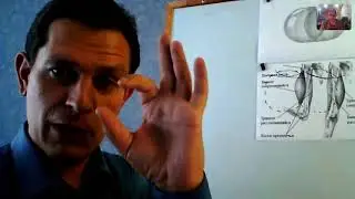 Беседа 27авг18 - Что, Чем и Как мы лечим. Ч2