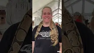 HBG Artsfest